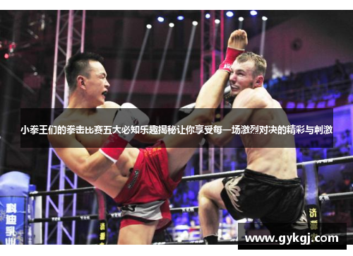 小拳王们的拳击比赛五大必知乐趣揭秘让你享受每一场激烈对决的精彩与刺激