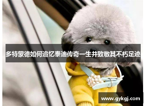 多特蒙德如何追忆泰迪传奇一生并致敬其不朽足迹